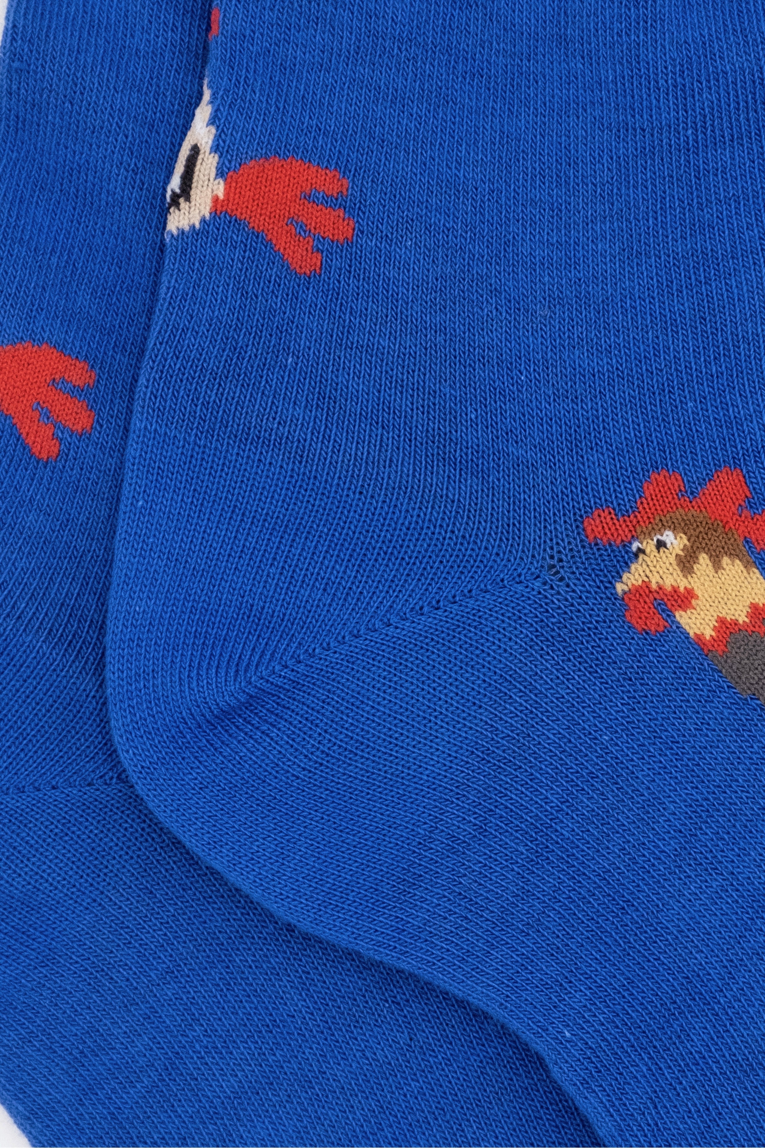 Chaussettes Longues à Motifs - Bleu Clair