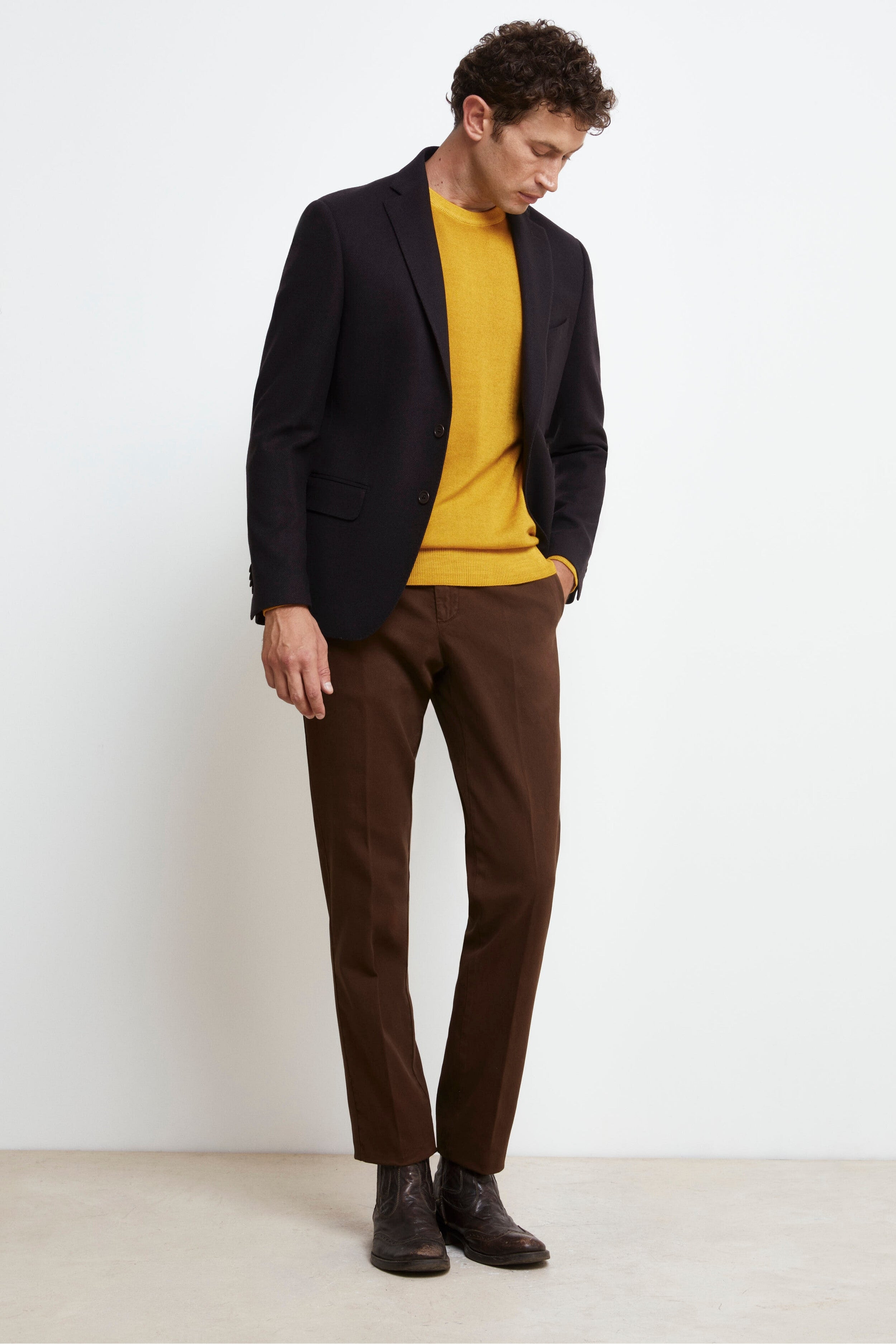 Pleated Regular Fit Pants - Cacao brown