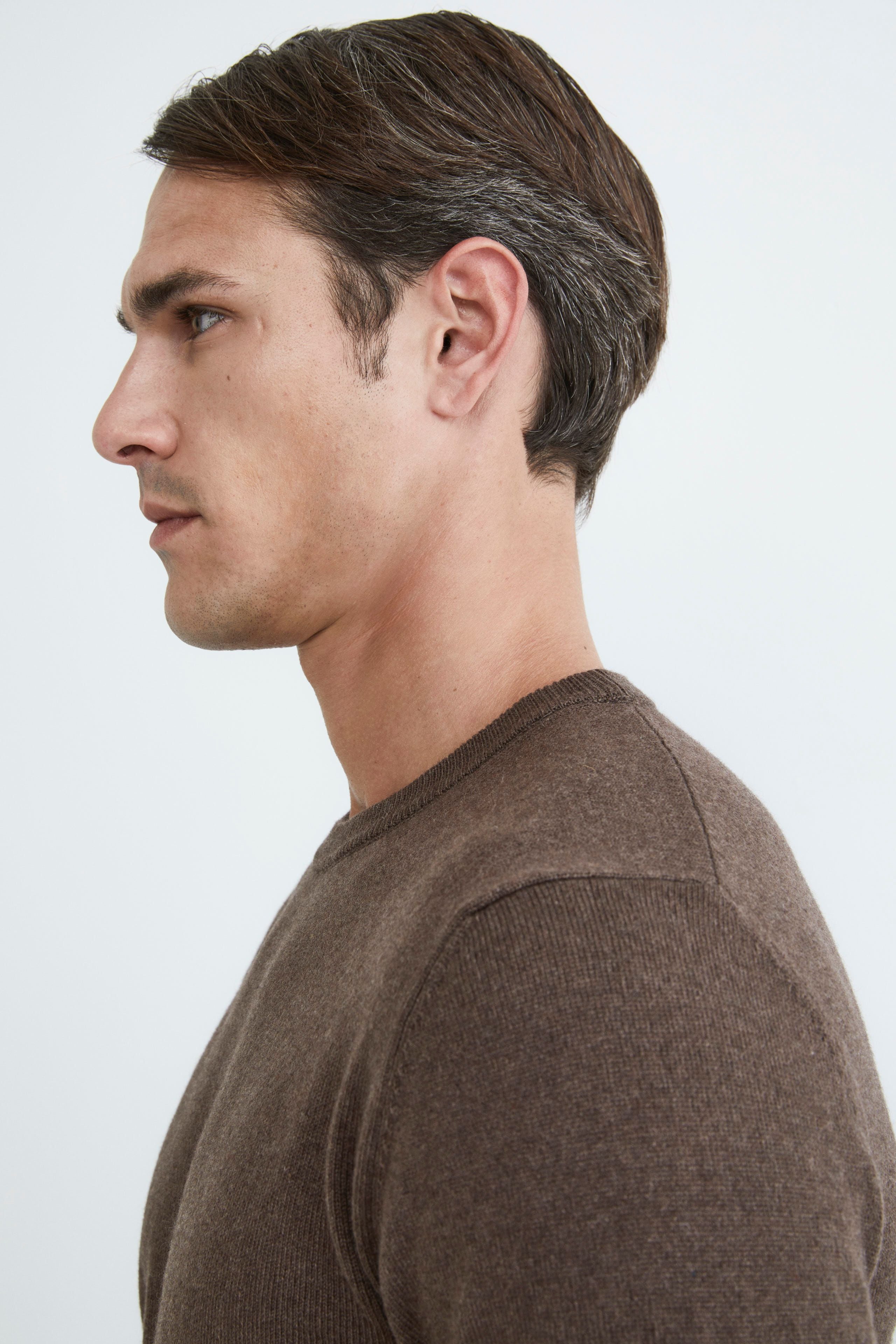 Cashmere and silk crew neck - Cacao brown